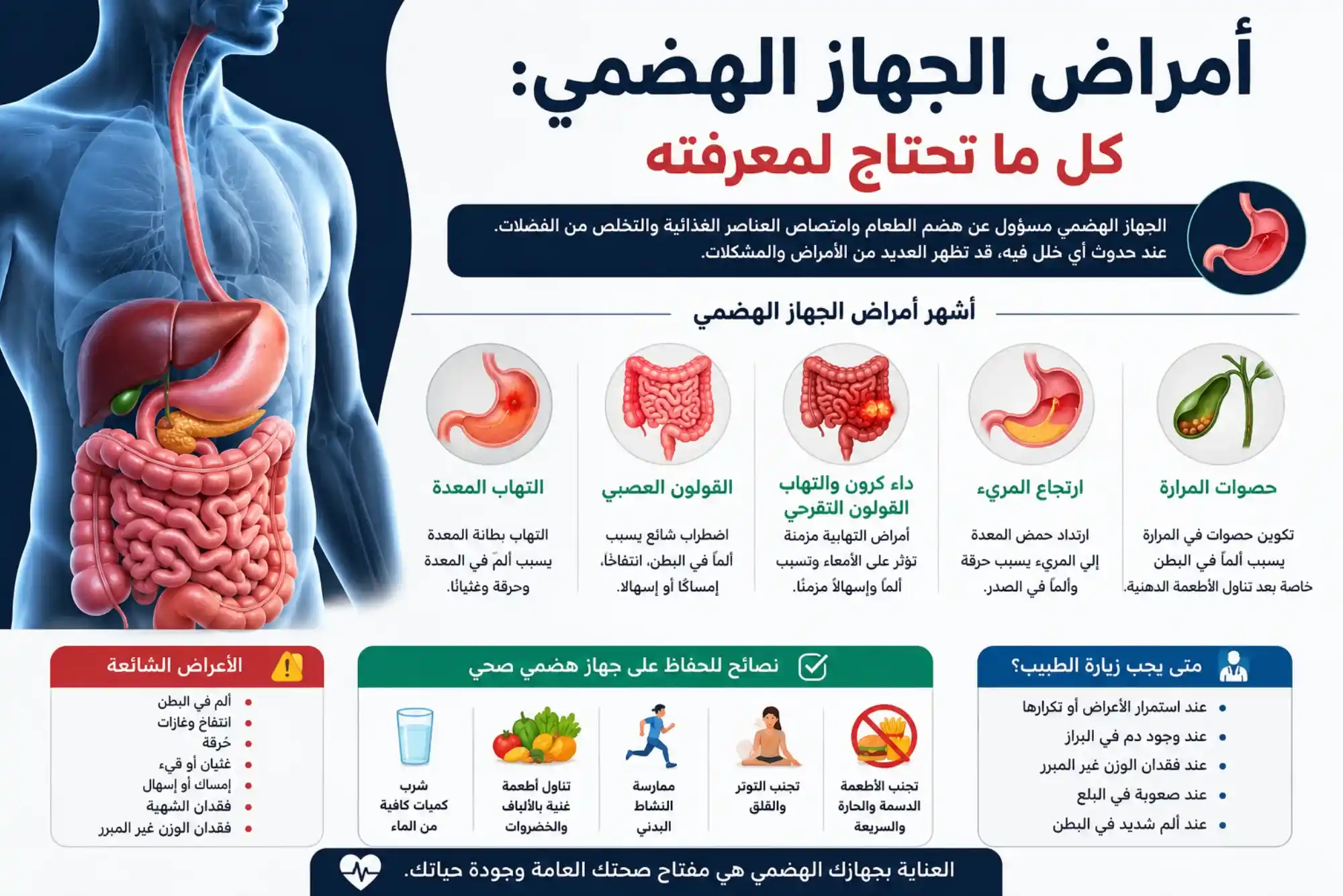 أمراض الجهاز الهضمي كل ما تحتاج لمعرفته