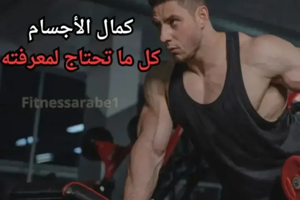 الأبطال للمبتدئين والمتقدمين